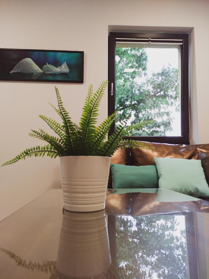 Apartamenty Dworcowa 45 Gliwice Bagian luar foto